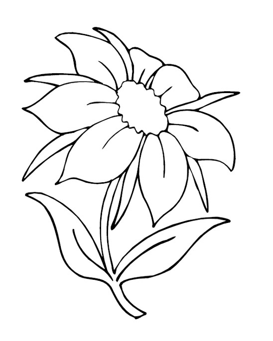 These Flowers coloring pages suitable for toddlers, preschool and  title=